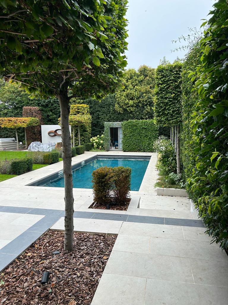 Azure_Pools's tweet image. The latest project that our very talented Pool Team have finished. Hopefully you’ll agree that it looks incredible 👌🏻 

#poolbuild #London #tiledpool #originalstyle #heatpump #azurepoolsandhottubs #poolmanlife #certikin #swimathome #waterwellness #gardendesign