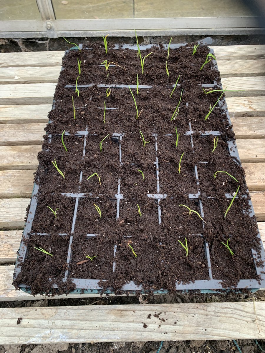 Dai Lloyd tweet media