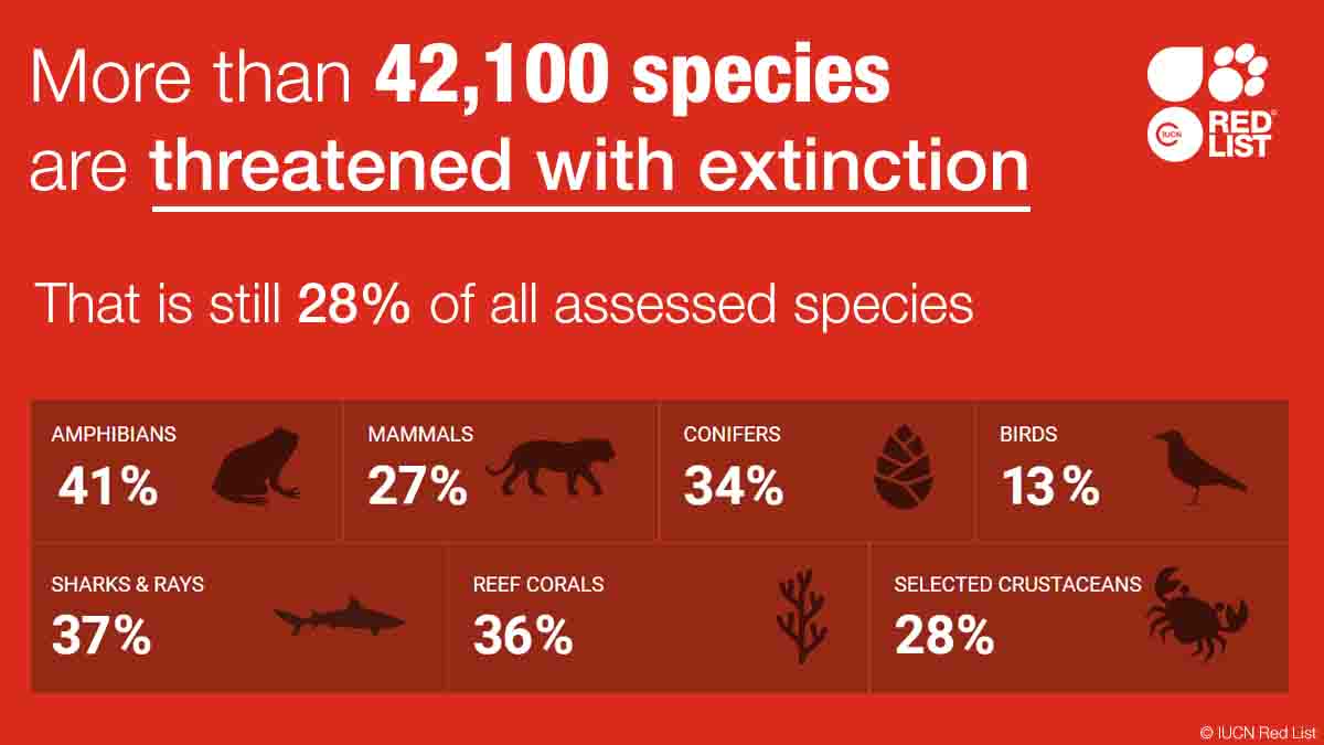 The @IUCNRedList is a critical indicator of the health of the world’s #biodiversity, and a powerful tool to help implement the Global Biodiversity Framework. bit.ly/440eXam #KMGBF