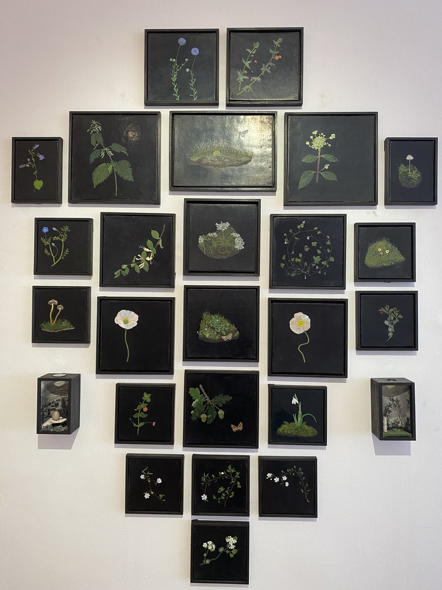 My exhibition ‘New;Unknown’ <a href="/longandryle/">Long & Ryle Gallery</a> has been extended until 4th November 
#moss #lichen  #oilpainting #naturalworld