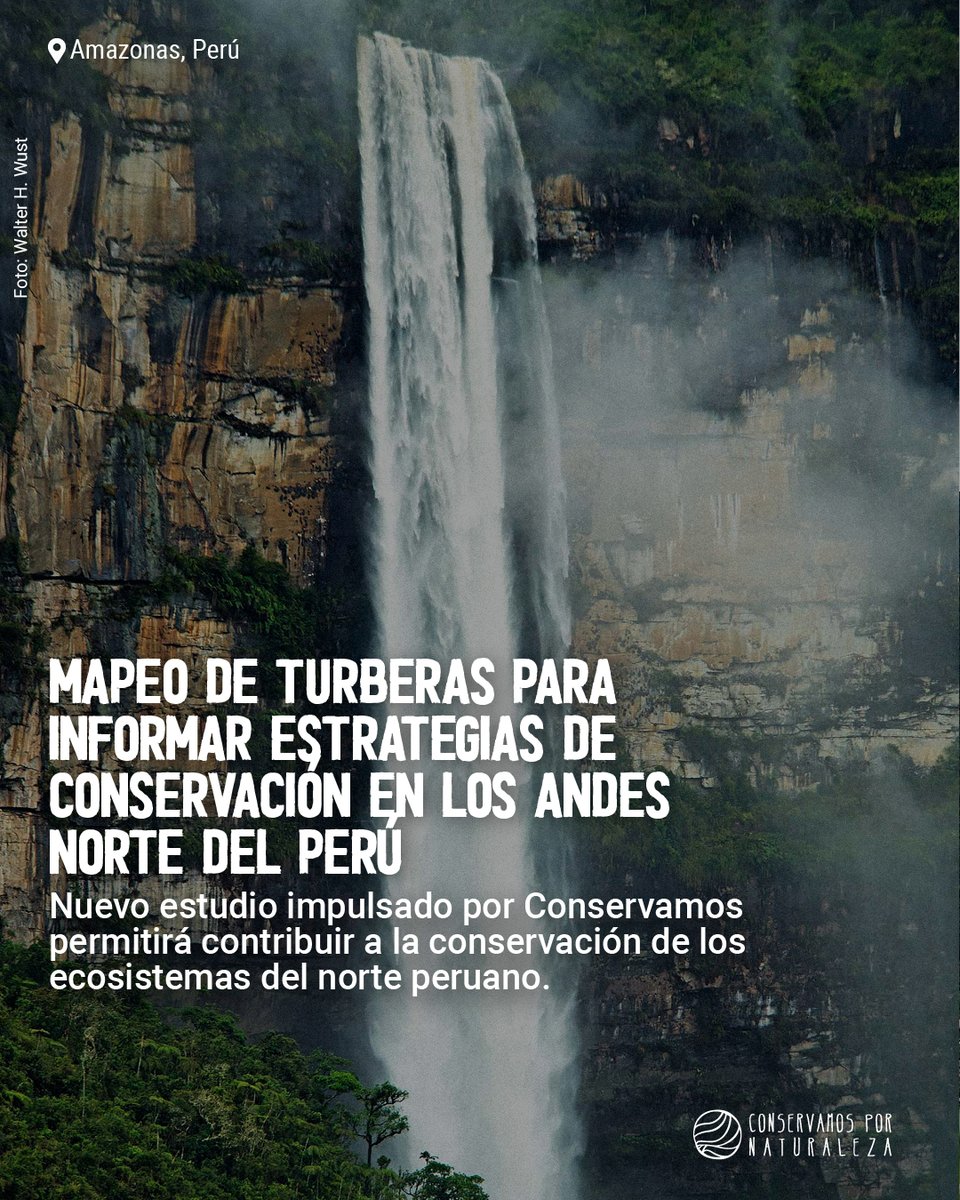 Conservamos's tweet photo. 🤓 ¡Nuevo paper a la vista! Un estudio impulsado por Conservamos fue publicado en la revista Environmental Conservation y, por primera vez, identifica en un mapa la zona de turbas en la parte alta de la catarata de #Gocta, en #Amazonas. https://t.co/09NQxWtX20