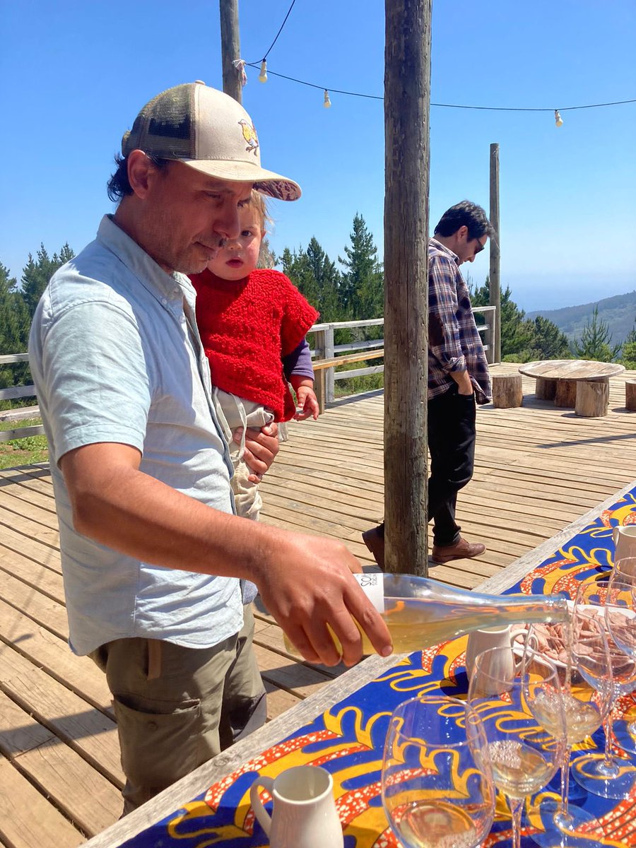 Vienen nuevos vinos vienen !! 💪💚