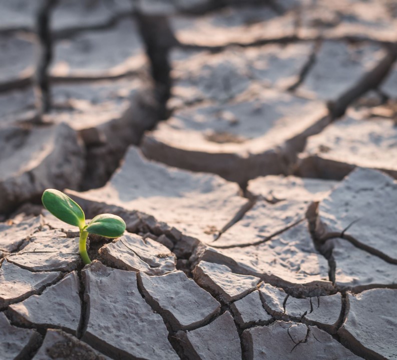 The crack, the cave &amp; the compost heap: where we look for life (and God)

My talk from <a href="/DioceseofDerby/">The Church of England in Derbyshire</a>'s clergy conference (theme: 'kintsugi: beauty in our brokenness'). With poems, King Nebuchadnezzar, 'misfit theology', a @BayoAkomolafe story &amp; more...

thisestate.blogspot.com/2023/10/the-cr…