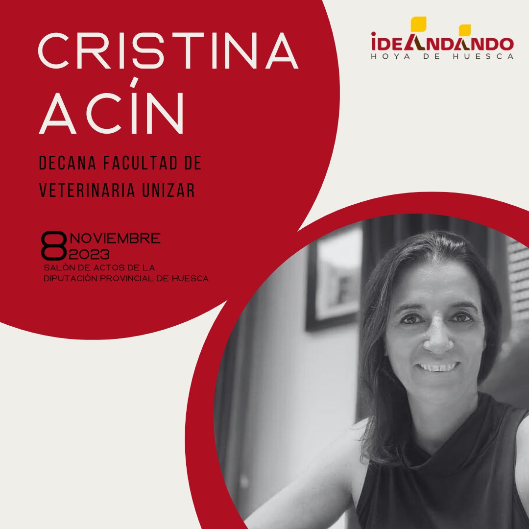 IDEANDANDO tweet media