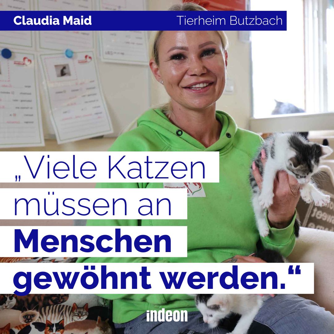 Kindern vorlesen? Klar! Aber Katzen vorlesen? 😲 Das gibt's im Tierheim in Butzbach und hilft scheuen Tieren, vermittelt zu werden. 👉  indeon.link/hsim9
