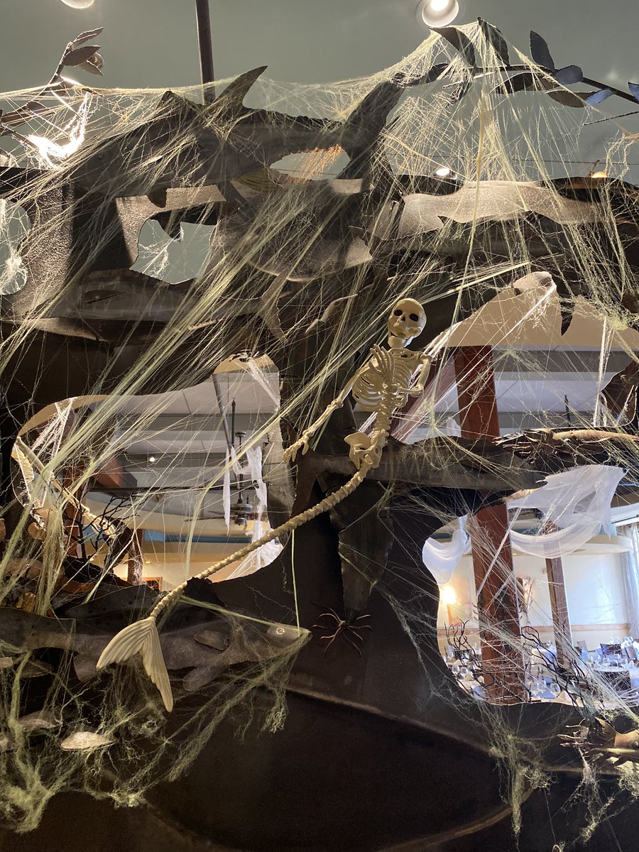 GW Fins Restaurant tweet media