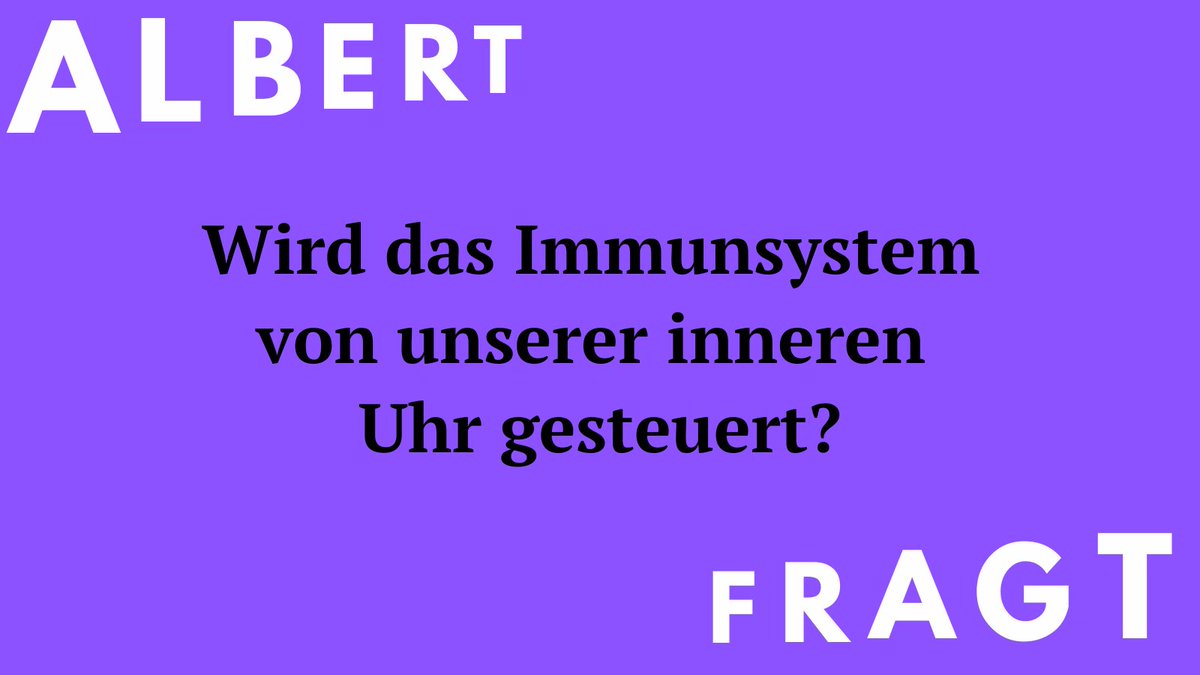 ⏰Achim Kramer leitet den Bereich Chronobiologie am Institut für Medizinische Immunologie @ChariteBerlin. Pünktlich zur #Zeitumstellung haben wir ihn gefragt, ob das Immunsystem von unserer inneren Uhr gesteuert wird. Mehr im #ALBERTJournal Nr. 8: einsteinfoundation.de/albert/albert-…⏲️