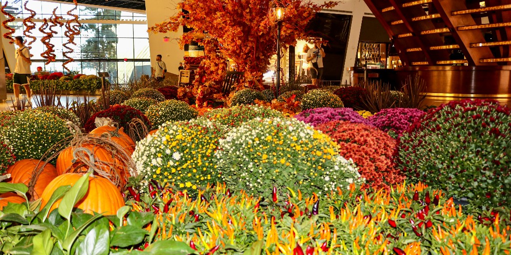 Embrace the pumpkin patch vibes on #NationalPumpkinDay! 🎃🍁 Our fall florals are stealing the show, and we can't wait for you to see them in all their autumn glory! 🍂🌼 🧡 #PumpkinParadise #TheShopsAtCrystals