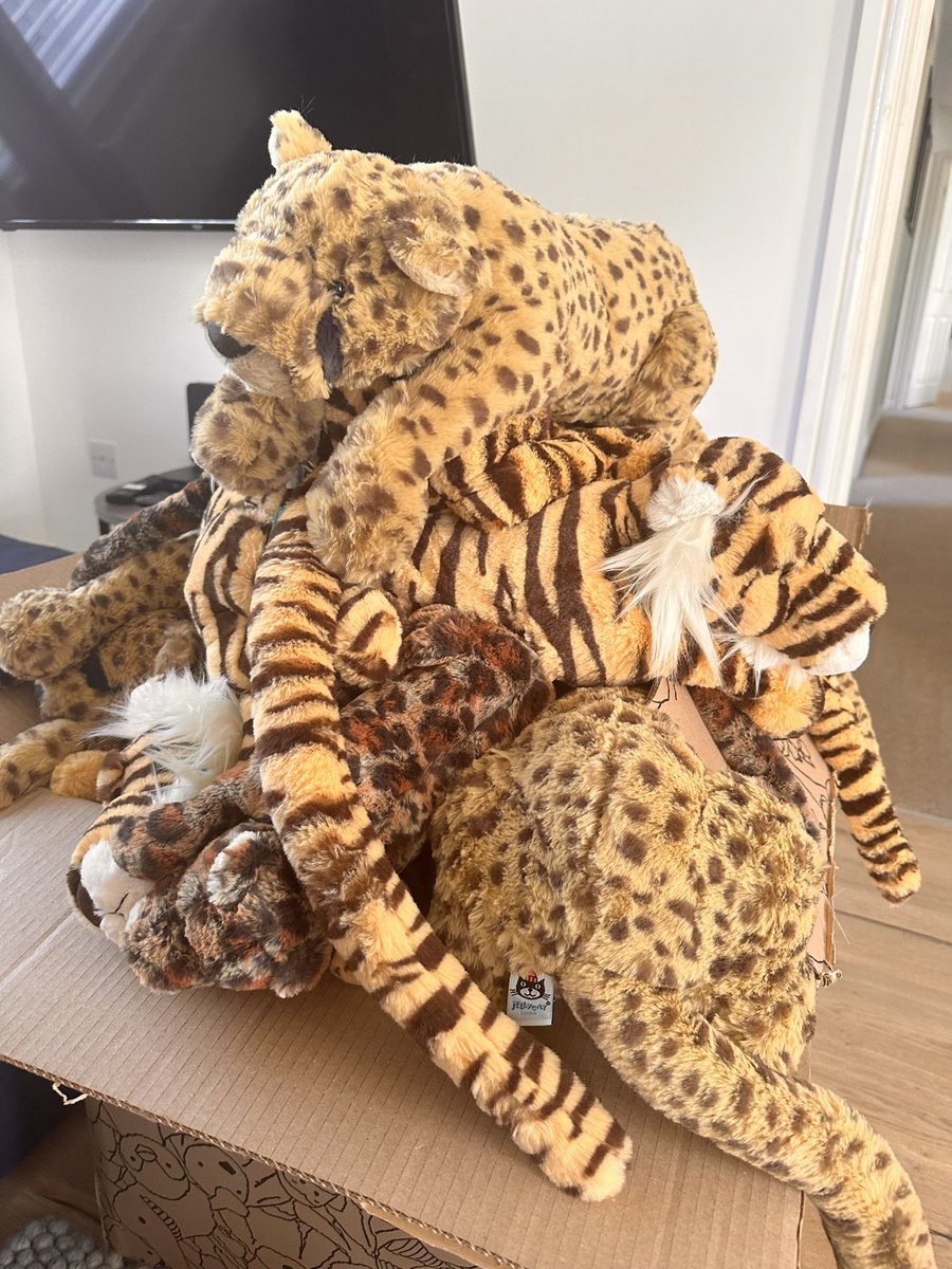 Absolutely delighted to send out a big pile of Jellycats to @RM_Radiotherapy this week - we’ve now supplied around 300 cats this year bringing courage and comfort to children with brain tumours larsenspride.Co.Uk