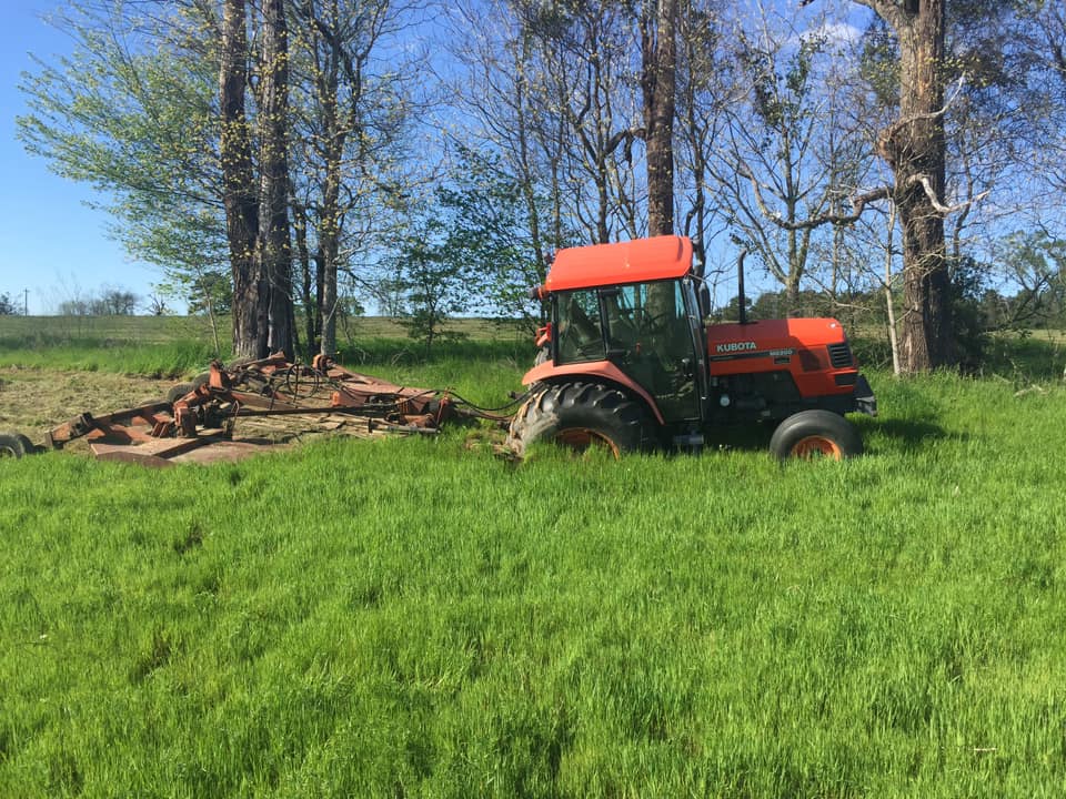 Bush Hog tweet media