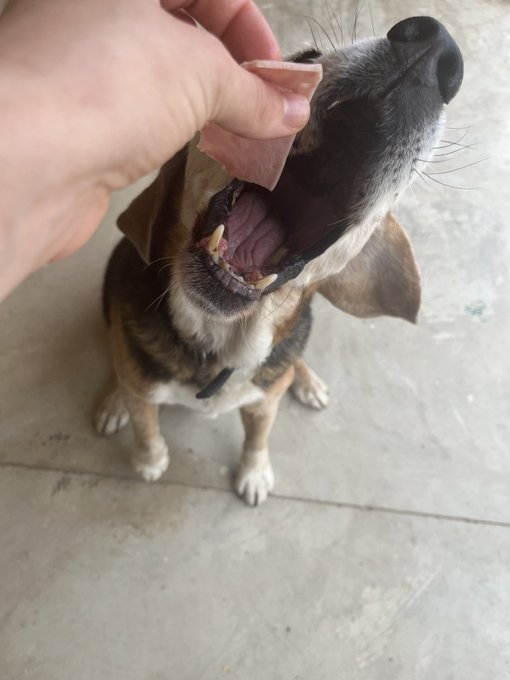 This little old man is just too cute https://t.co/DxH0mtCbjX