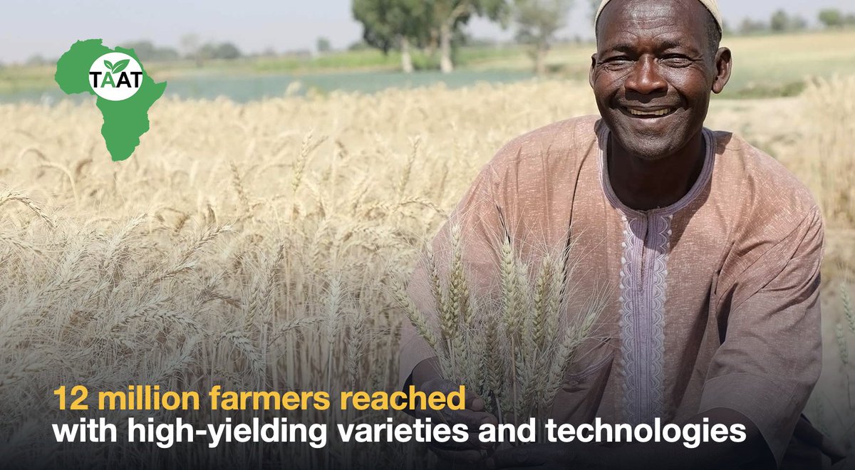 @akin_adesina @WorldFoodPrize @beth_dunford @mfregene77 @CGIAR @Taat_Africa #DakarToDesMoines: In just 4 years, the @Taat_Africa platform delivered heat tolerant wheat varieties, drought tolerant maize varieties + high yielding rice varieties to 12m farmers + increased food production by an additional 25m mt. - @akin_adesina #FeedAfrica #HarnessingChange