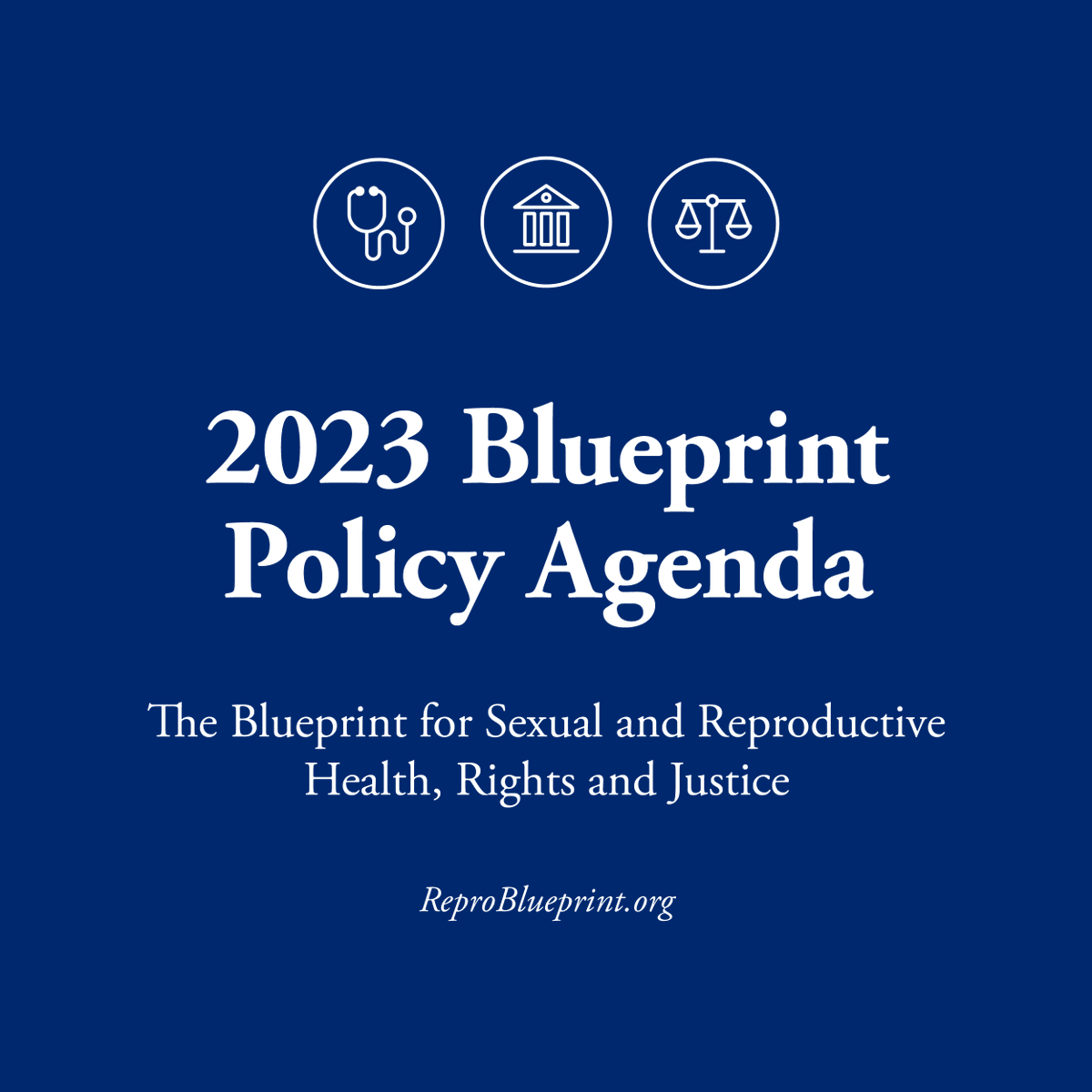 pai_org's tweet photo. The Blueprint for Sexual and Reproductive Health, Rights and Justice is a visionary policy agenda for a future where everyone can exercise bodily autonomy. Learn how it aims to transform health, rights and justice: https://t.co/VymL0AjDyh #ReproBlueprint https://t.co/pjc916a5gb