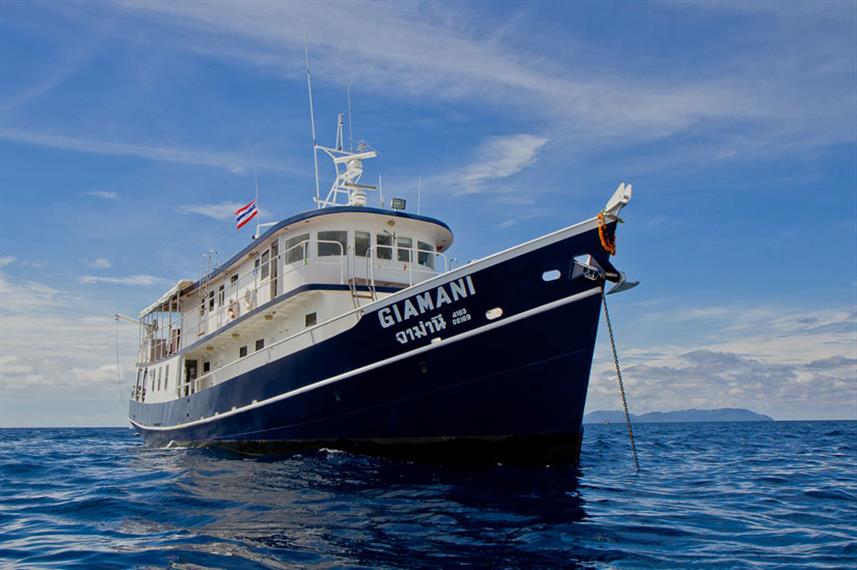 Diveguidecom's tweet photo. Deep Discounts For:
Damai II Indonesia - https://t.co/YsYJGTYPLU...
Giamani Thailand - https://t.co/9BTWjY8FwH
More Deals - https://t.co/yXRyOQIyo7 https://t.co/OIRY7tLqqF