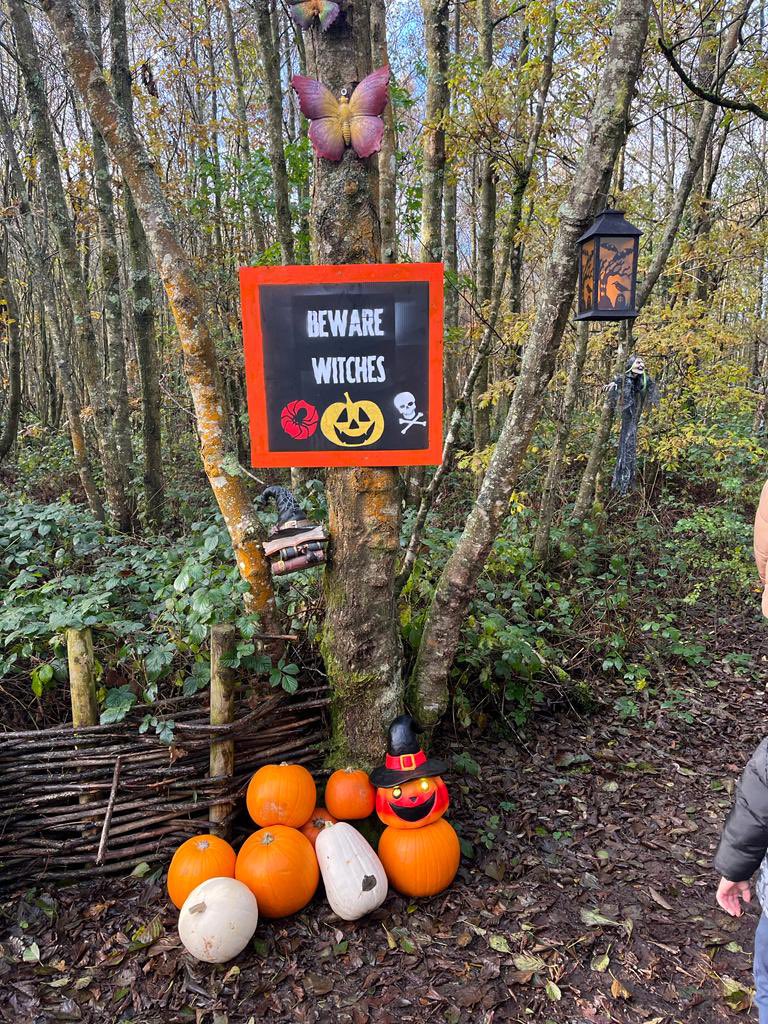 LumcloonNS's tweet photo. We had a fantastic day at the Halloween themed @LoughBooraPark today! From witches to flying ghosts, story telling, face painting, and delicious #boorabainne milk- we were spoilt for choice! 🧙🏽‍♀️🎃👻 We highly recommend everyone should visit here this weekend for spooktacular fun! https://t.co/Jw3irQxCml