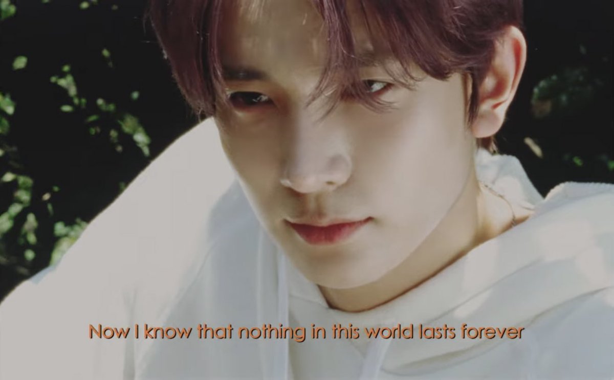 핑프 𝓁𝑒𝑒 🎟️🫦 tweet media