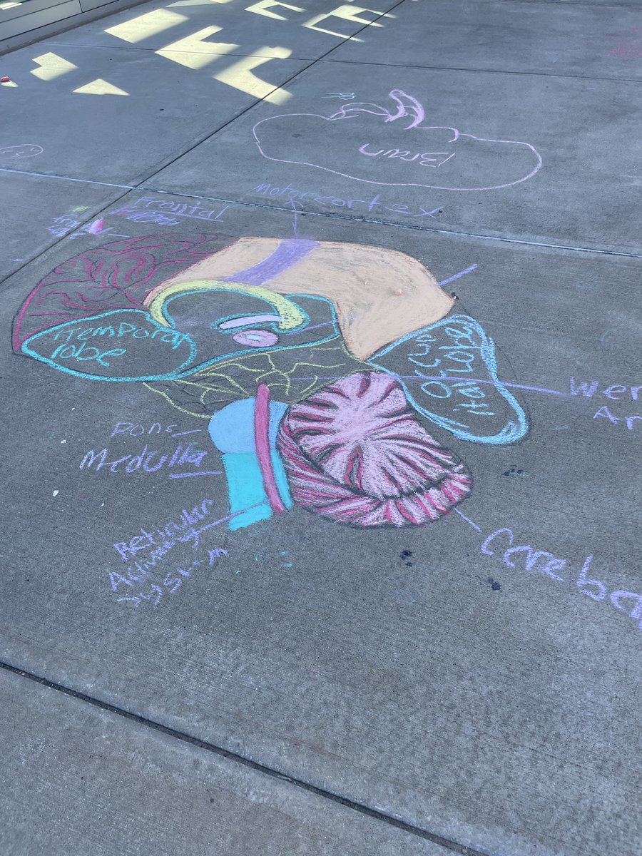 Marisa Volo tweet media