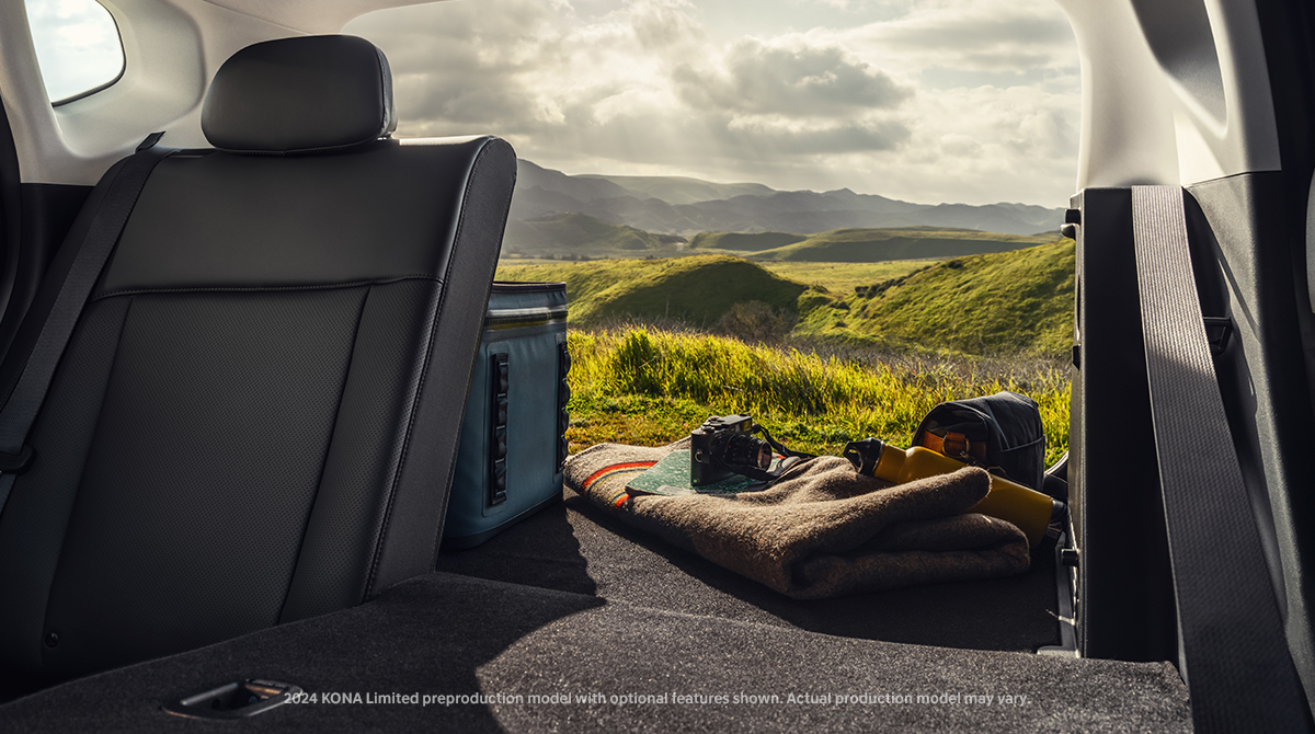 Hyundai USA tweet media