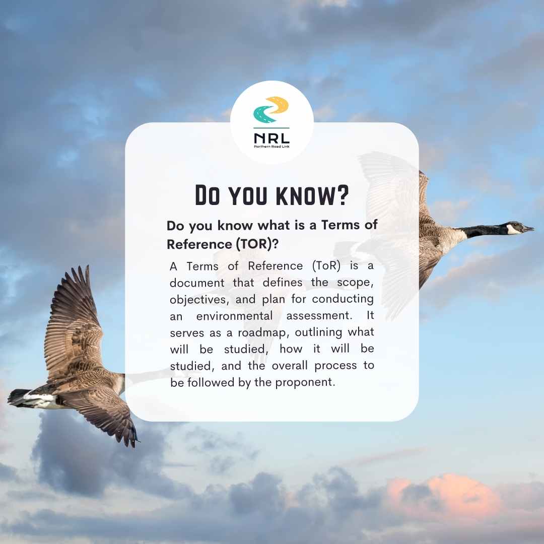 nrlroadlink's tweet image. Learn more about the Northern Road Link project through our latest series!

Do you know what is a Terms of Reference (TOR)?
.
.
#Martenfalls #webequiefirstnation  #termsofreference #ToR