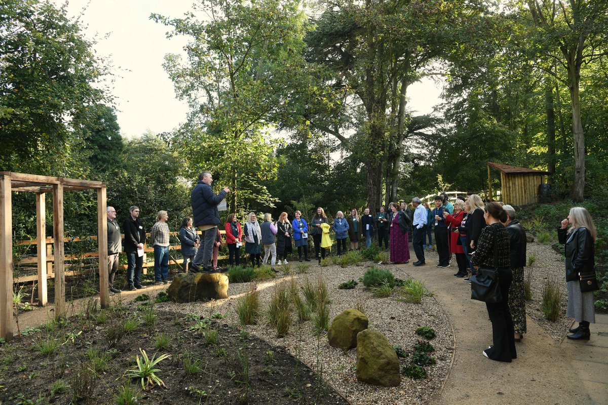 NSFT mental health tweet media