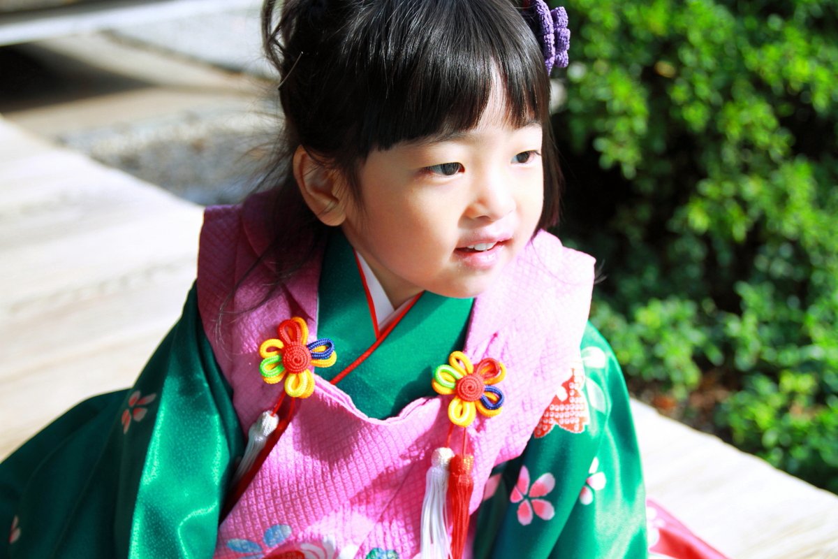Shofuso Japanese Cultural Center tweet media