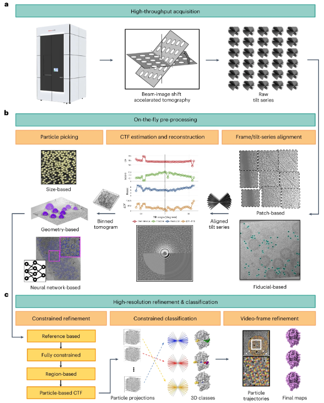 Out today from the Bartesaghi lab! nextPYP is a turn-key framework for single-particle cryo-ET that streamlines complex data analysis pipelines, from pre-processing of tilt series to high-resolution refinement, for efficient analysis of large datasets. nature.com/articles/s4159…