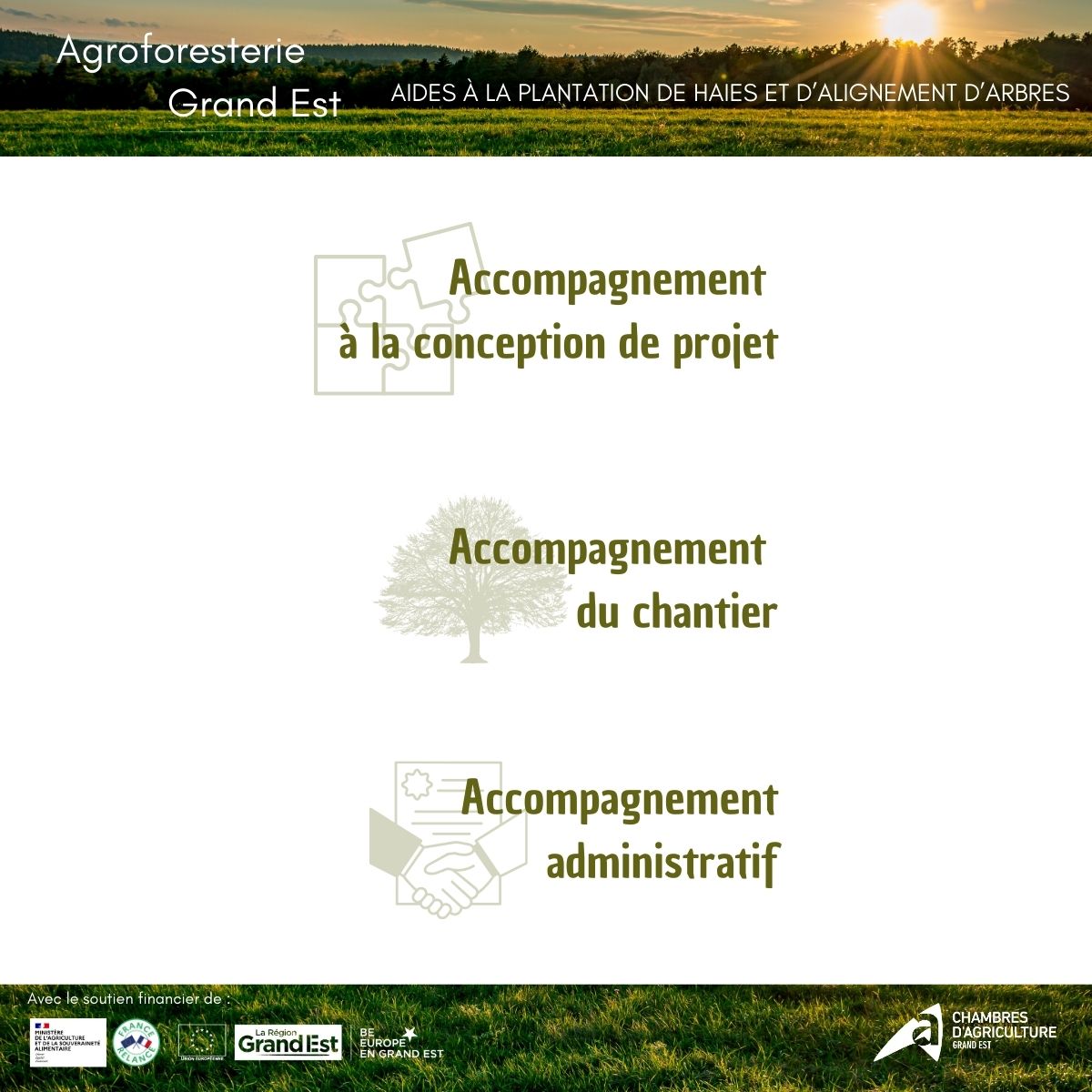Agriculteurs du #GrandEst, l'#agroforesterie est la clé d'un avenir durable pour vos terres ✅ Protégez vos #cultures, favorisez la #biodiversité, améliorez votre
#rentabilité. Rejoignez le programme de l'Agroforesterie Grand Est dès maintenant ! 🤝
<a href="/cra_grandest/">CRA Grand Est</a> <a href="/regiongrandest/">Région Grand Est</a>