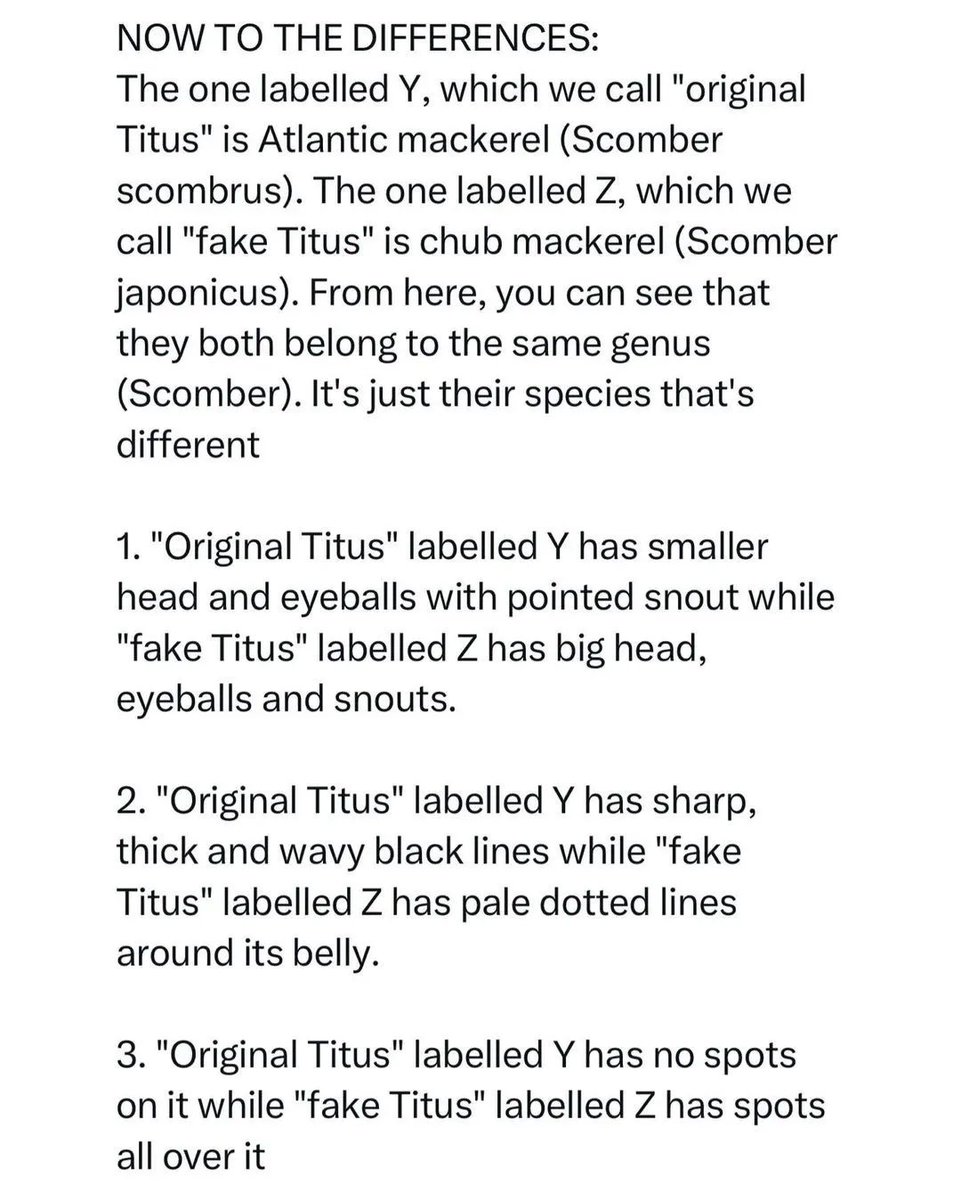 What are your own ways of identifying real Titus fish? 

Let us know in the comments👇

#htsplus #frozenfoods #titusfish #AbujaXCommunity #Abuja #AbujaGroceryPlug