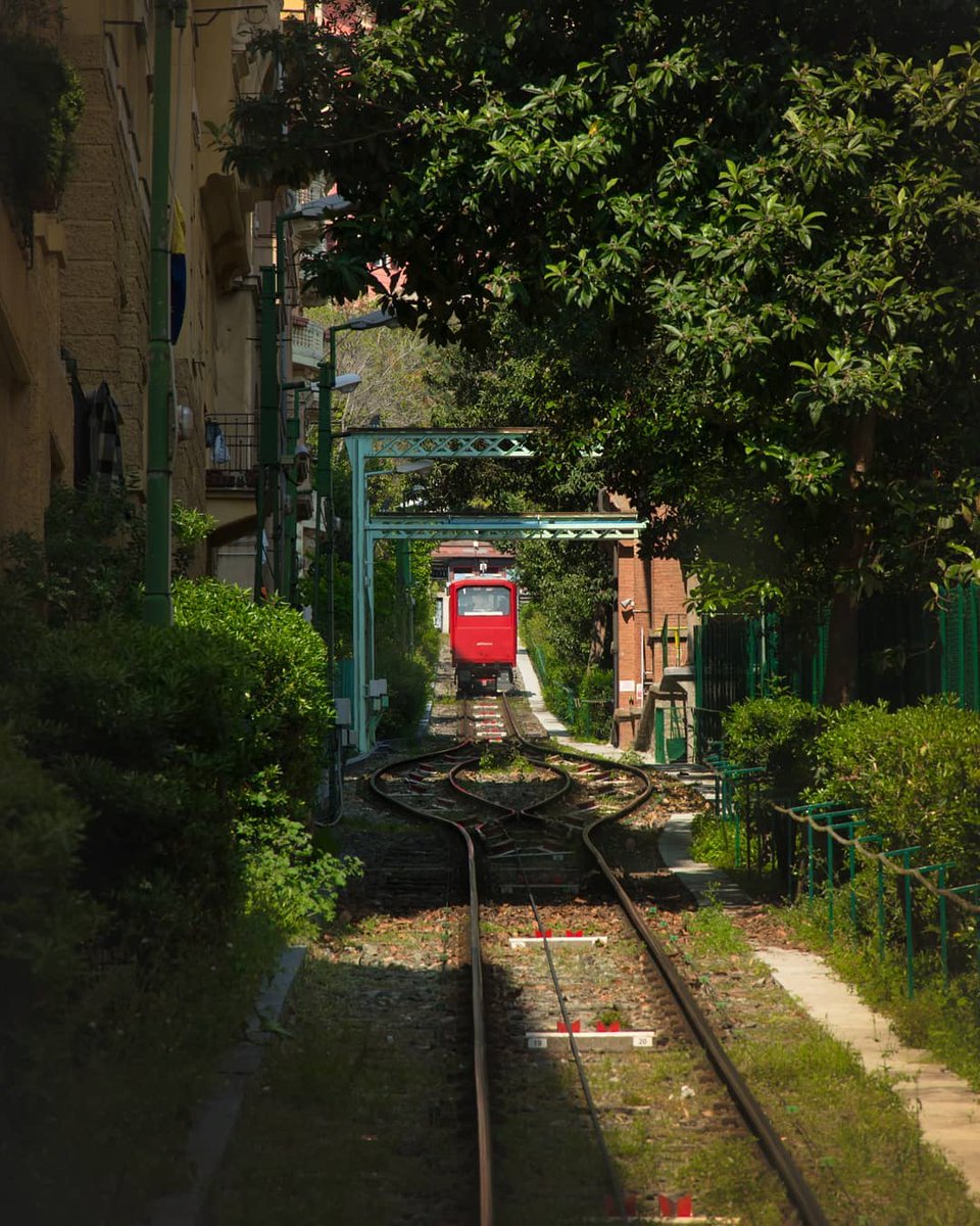 ✨ A #Genova funicolari, ascensori e cremagliere sono gratuite! Scoprire la città con i mezzi verticali ha sempre un fascino particolare. Vi aspettiamo nella Superba!

ℹ️ visitgenoa.it/funicolari-asc…

📷 Via Ig _westerlund2