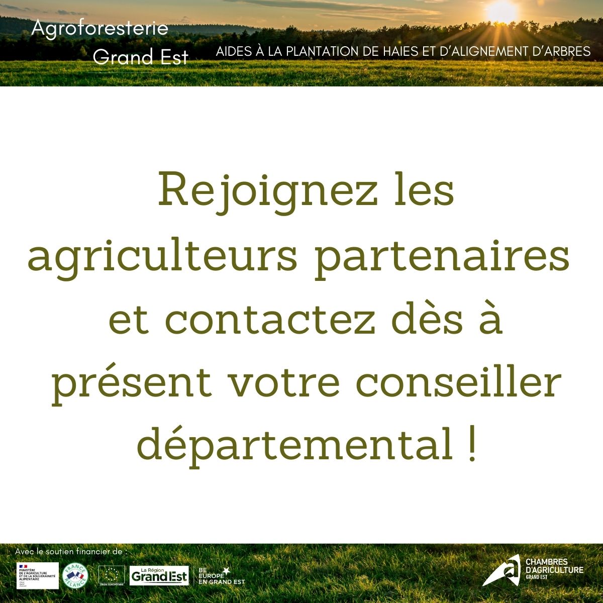 Vous cherchez à réduire l'usage de produits #phyto et à protéger vos #cultures du #vent ? L'#agroforesterie peut vous aider ! Découvrez le programme Agroforesterie Grand Est pour un soutien financier et un accompagnement sur mesure 
<a href="/cra_grandest/">CRA Grand Est</a> <a href="/regiongrandest/">Région Grand Est</a>