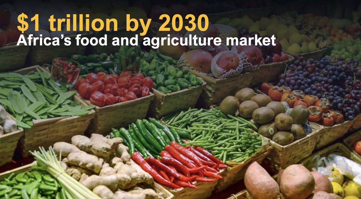 @akin_adesina @WorldFoodPrize @beth_dunford @mfregene77 @CGIAR @Taat_Africa @VictorOladokun @BanjiOyeyinka @richard_uku #DakarToDesMoines: The size of the food + agribusiness in Africa will be worth $1t by 2030. Invest in African food + agribusiness. The political will is strong. The results on the ground show huge promise. Let’s collectively seize the moment. @akin_adesina #FeedAfrica