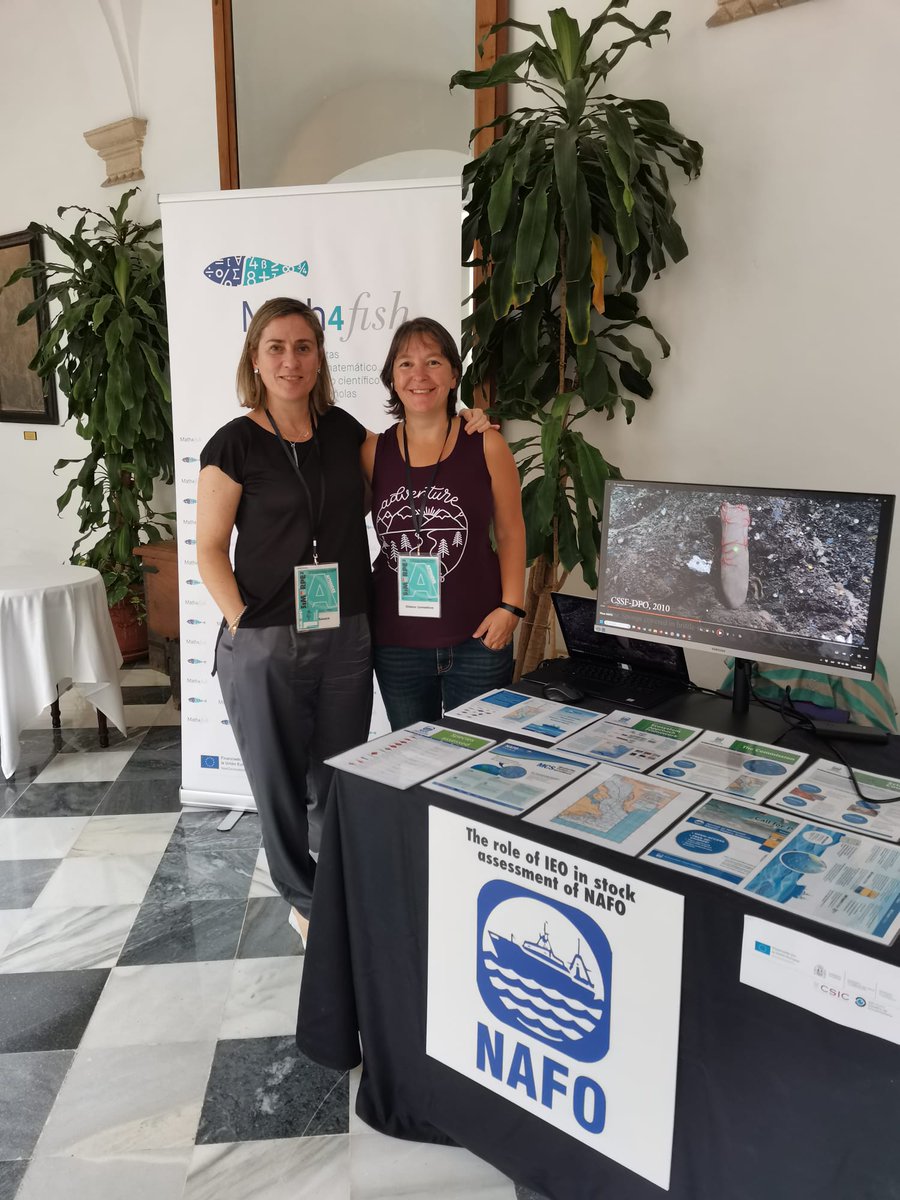 IEO Vigo tweet media