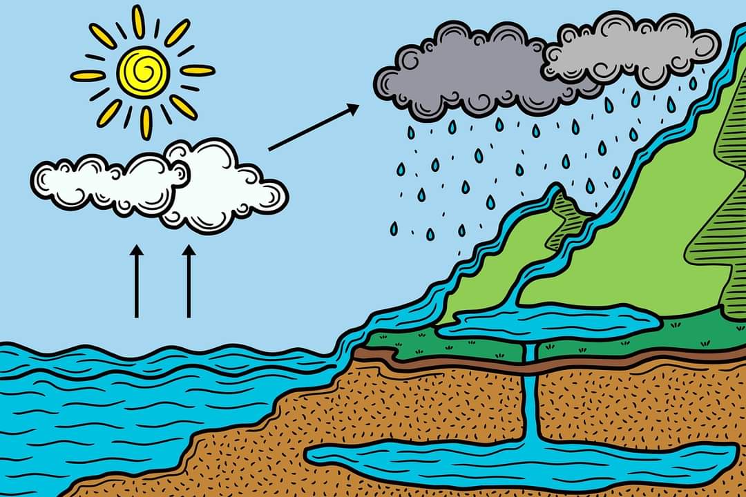 ProjectWILD's tweet photo. Follow the journey of water up, down, &amp; around through the hydrologic cycle in #AquaticWILD's "Alice in Waterland" activity! Students will use a simulated field trip, discussion, &amp; student-gathered data to explore water use &amp; its effects on wildlife hab in this engaging lesson. https://t.co/J42NLqQ7Ve