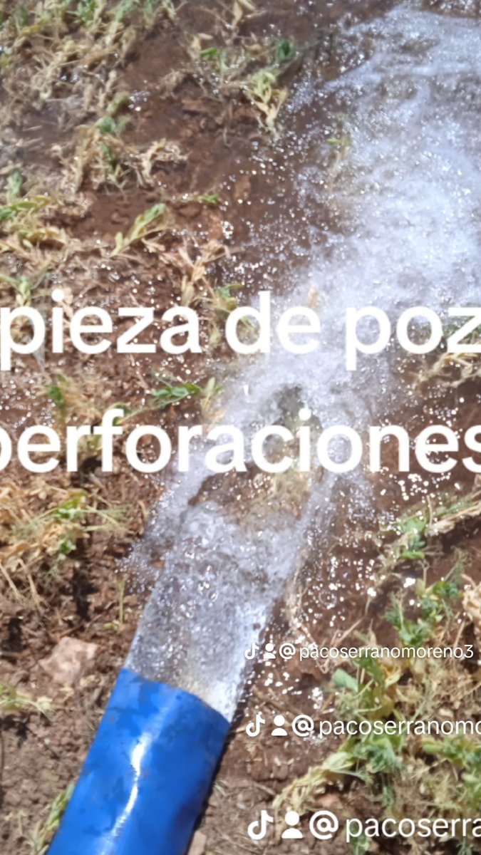 Paco Serrano moreno (@pacoserranomor1) on Twitter photo 