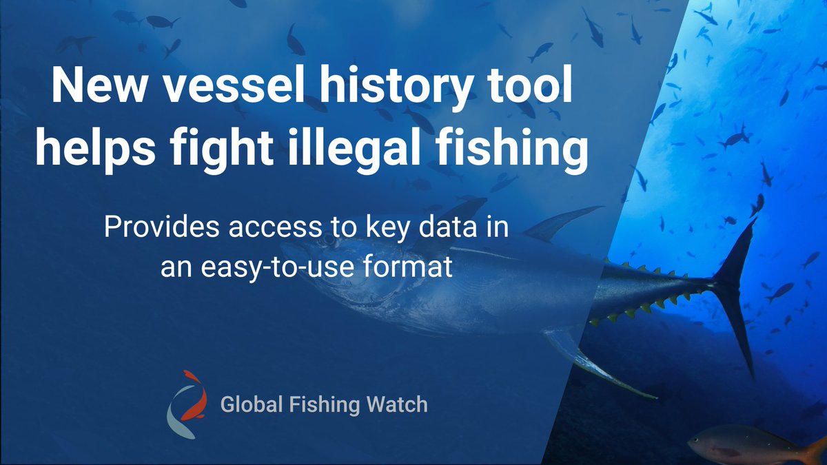 🆕 We’re excited to share an innovative vessel history tool created in partnership with @tm_tracking: Vessel Viewer! 🌊 Learn how it can help combat #IllegalFishing. 🌐 bitly.ws/YBiU