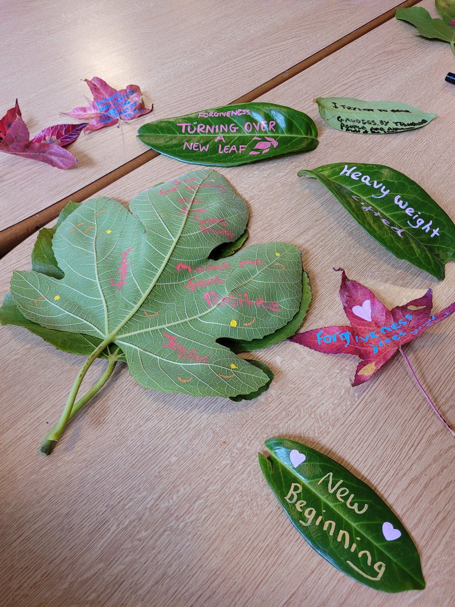 Thorneywood Mount Rehabilitation Unit tweet media