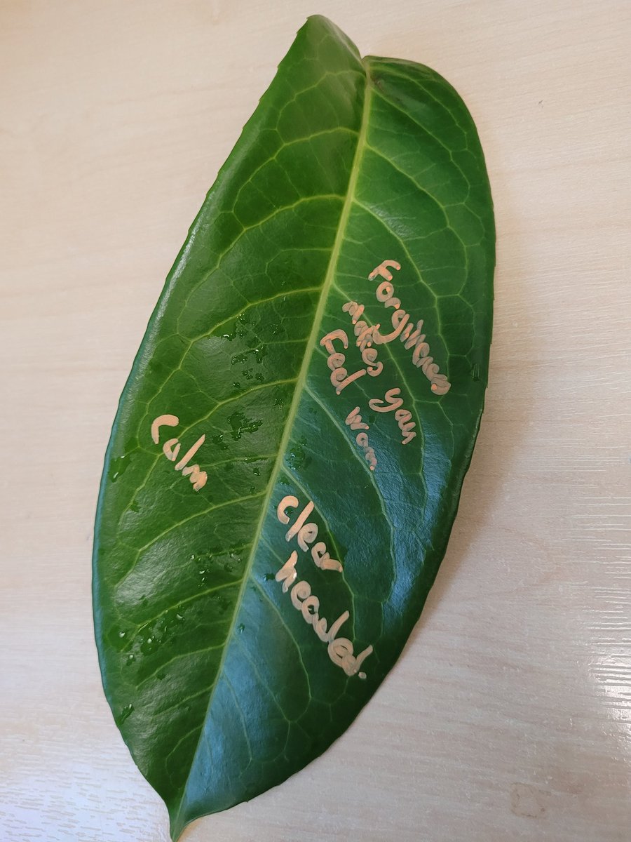 Thorneywood Mount Rehabilitation Unit tweet media