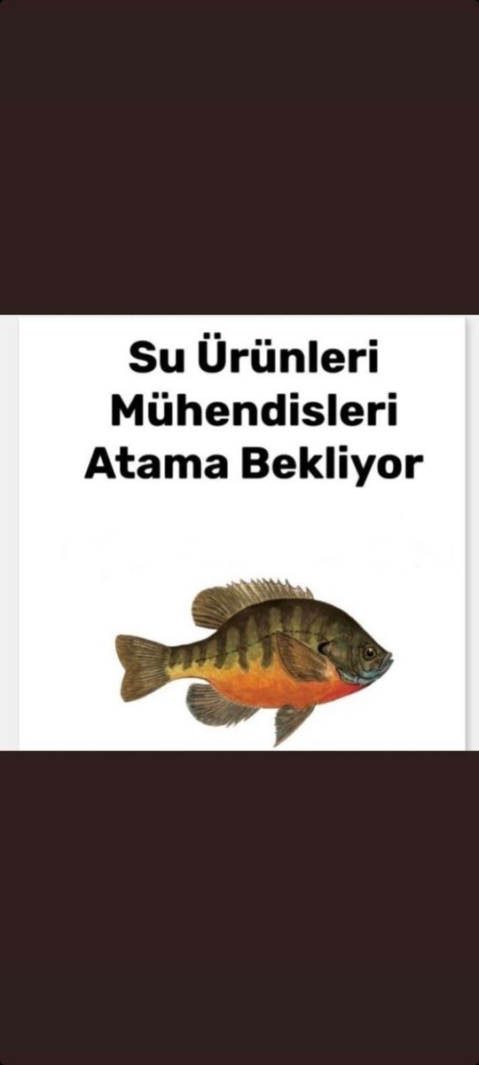 <a href="/vekilimizeylem/">Eylem Ertuğ Ertuğrul</a> Su ürünleri sektörü bu kadar gelişmiş bu kadar ilerlemiş ve gelecek vaat ederken, Su ürünleri mühendisleri de bu gelişime katkı sunmak için ülke refahında payı bulunması için atanmayı bekliyor. Sene bitmeden güzel haberleri bekliyoruz.. ..<a href="/RTErdogan/">Recep Tayyip Erdoğan</a> <a href="/ibrahimyumakli/">İbrahim Yumaklı</a> <a href="/ademdinc_/">Adem Dinç</a>