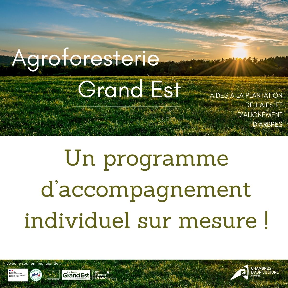 🌳 #Agriculture et #environnement vont de pair. Avec l'#Agroforesterie #GrandEst, vous contribuez à prévenir des inondations, luttez contre l'#érosion des #sols, et améliorer la #biodiversité tout en boostant vos #rendements ✅
Contactez-nous pour en savoir plus : 03 29 29 23 23