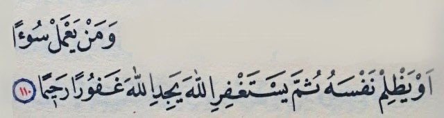 🍄 tweet media
