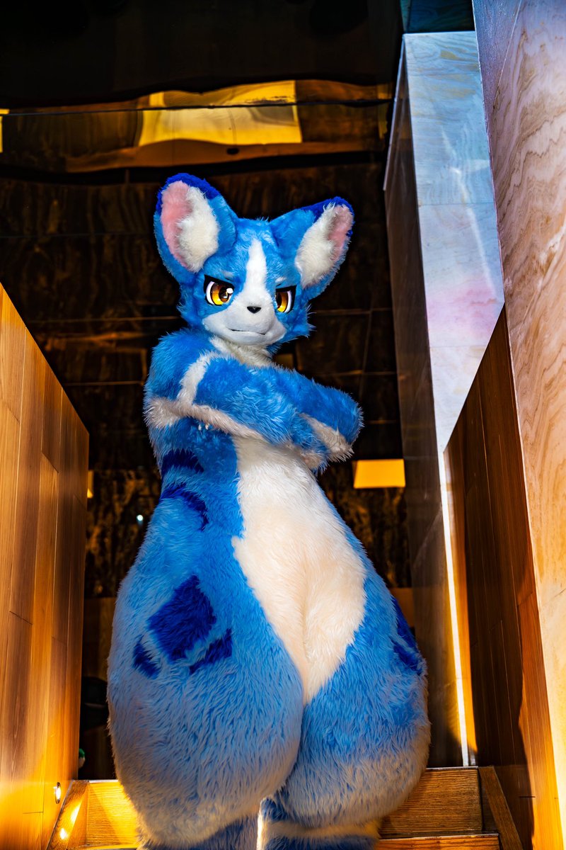 DoggyLink's tweet photo. #FursuitFriday
第一次在品尊出毛!
愿望实现!
(极兽那阵子拉链坏了没出成TwT)

📸:@liuhuafangnian https://t.co/QAZcPFnEjo