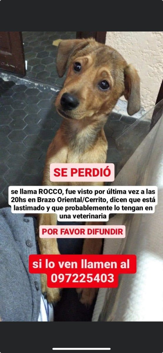 Adriana (@adriana43587622) on Twitter photo 