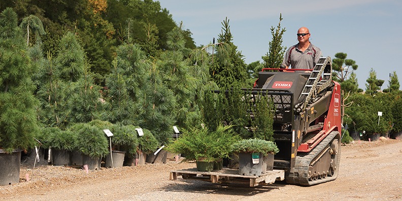TheToroCompany's tweet photo. Branch out and do more with the Dingo TXL 2000. See us at the TCI EXPO Show Nov.16-18 - Booth 921! #tciexpo2023 https://t.co/x4OYTxdIGJ