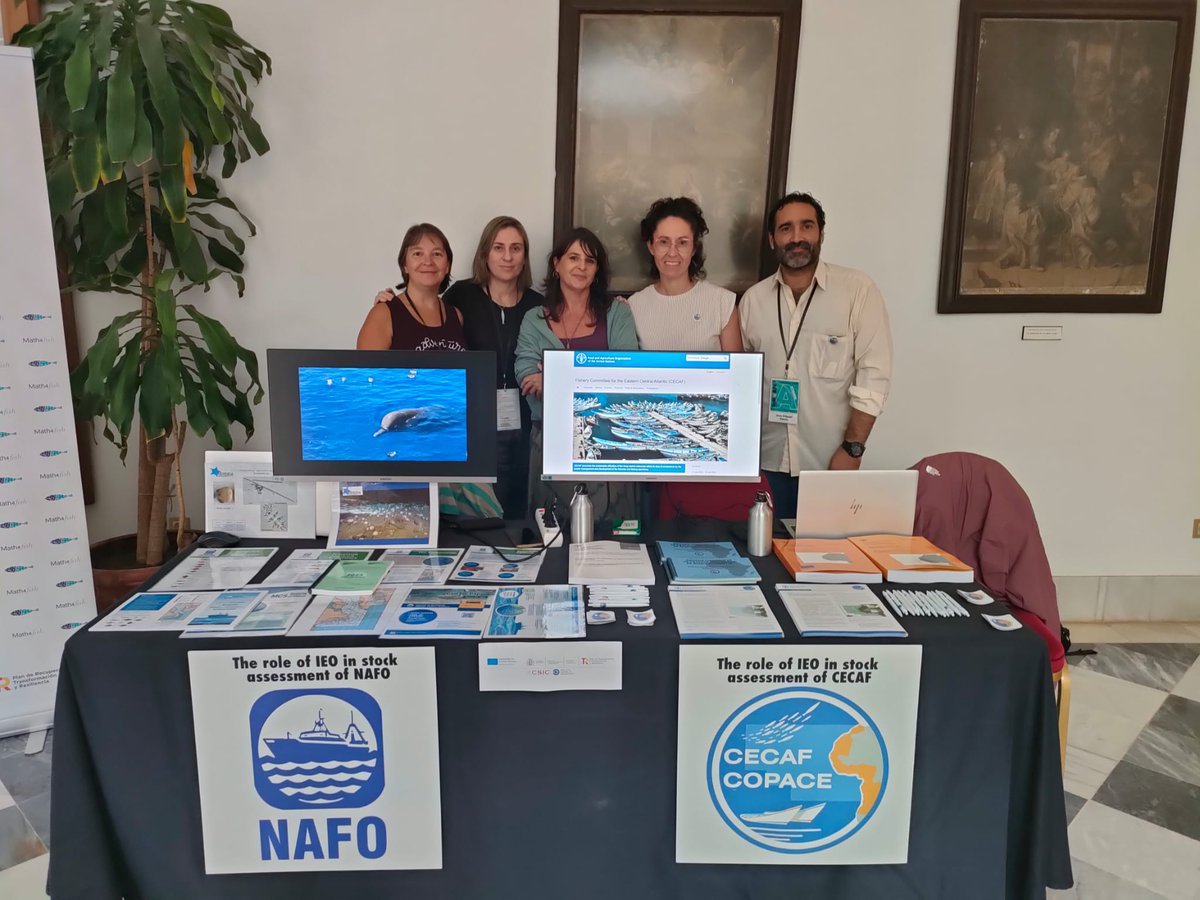 IEO Vigo tweet media