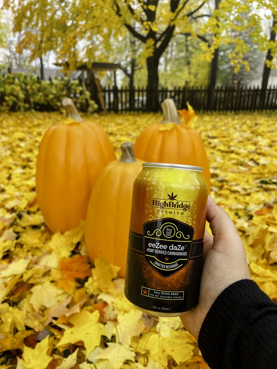 It’s #NationalPumpkinDay! 🎃Our #infused #beverage is joining the #pumpkinpatch #party. #Cheers to all things #pumpkin and the #magic it brings! ✨
.
#halloween #fall #october #vibes #fallvibes #mood #pumpkineverything #goodvibes #cannalife #cannalove #jackolantern #spooky