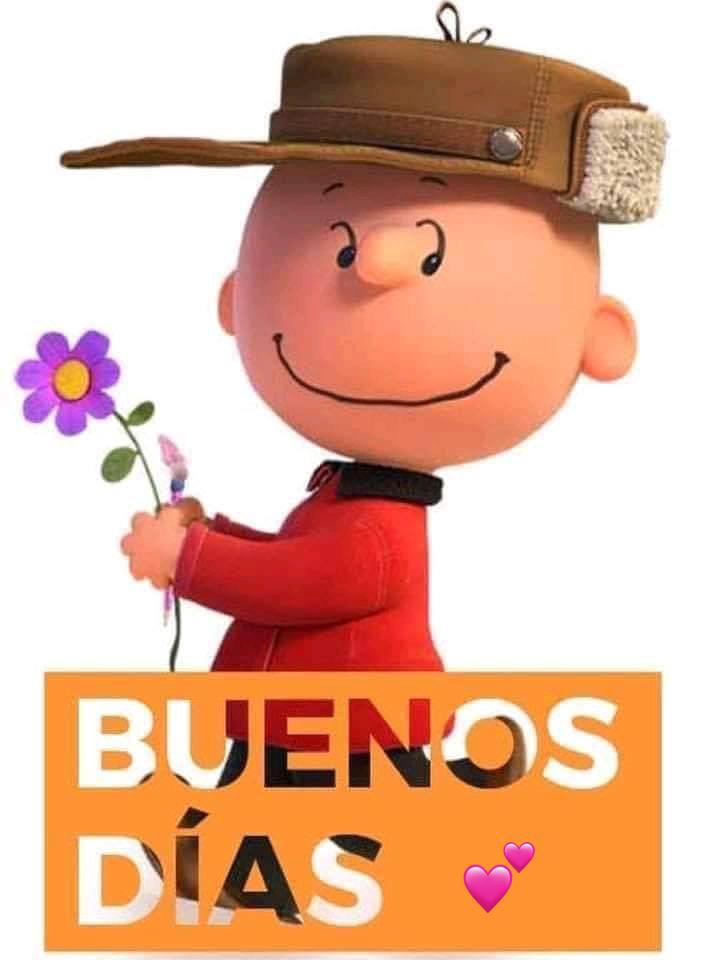 Mary449309901's tweet photo. Buen día https://t.co/yHR9OdsAeo
