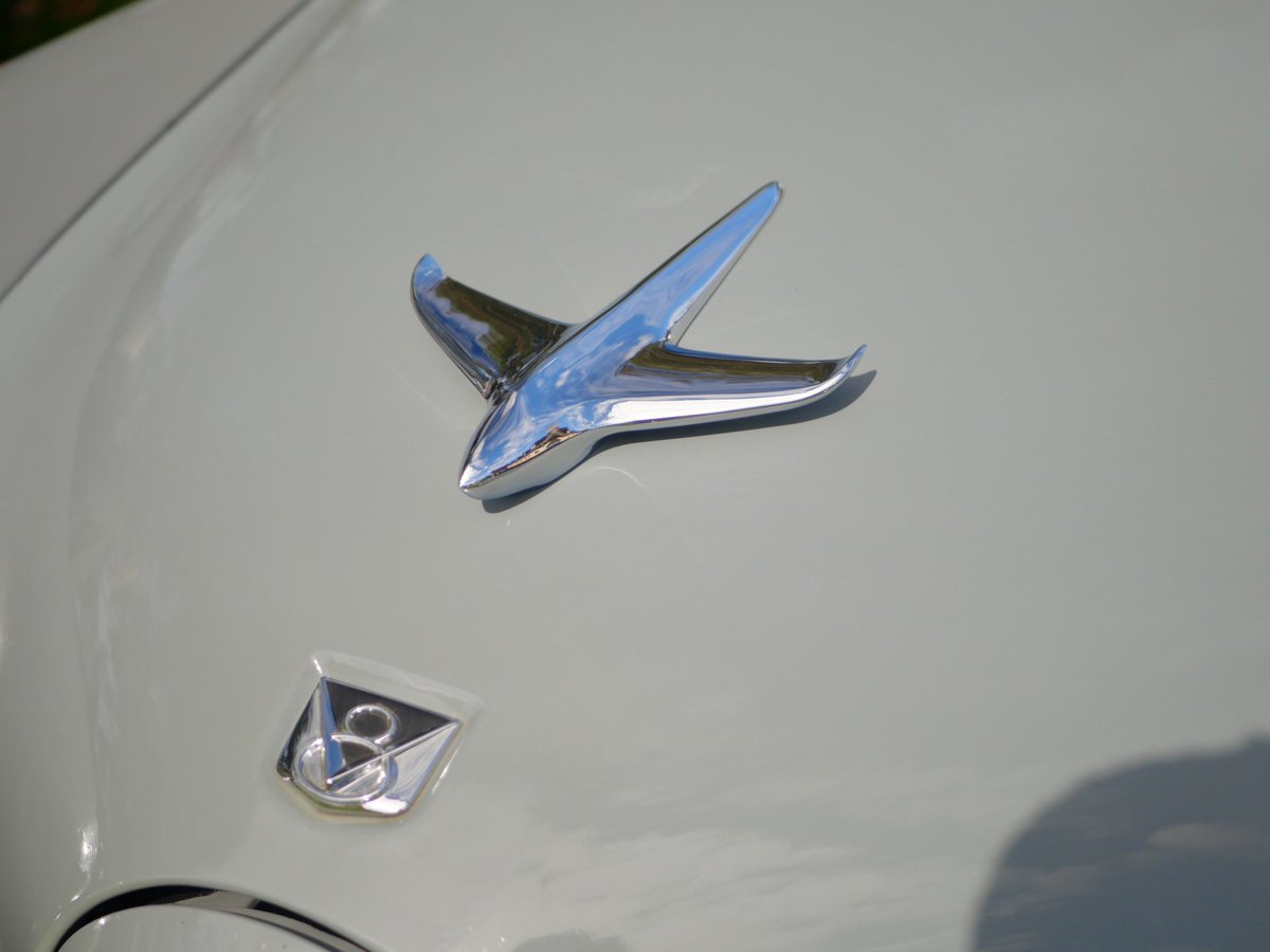 AOSx182's tweet photo. He looks like he’s cheesin! Love the look of these Studebaker Commander bullet nose. Looks like something from Fallout!
#studebaker #commander #v8 #classic #classiccars #classiccar #vintage #retro #cool #fallout #panasonic #panasoniclumix #lumix #g95 #lumixg95 #museum #m43 #cars https://t.co/qymAniDzwk