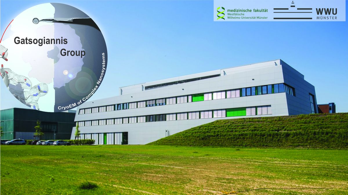 Christos Gatsogiannis (@gatsogia) on Twitter photo 📢#TeamTomo We are hiring! <a href="/GatsogiannisLab/">Gatsogiannis Lab</a> <a href="/uni_muenster/">Universität Münster</a> - 2 PostDoc Positions. Start Jan.2024, cutting-edge #tomo projects, top instruments (Krios G4, Aquilos2 iFLM), young and dynamic team, beautiful <a href="/muenster_de/">Stadt Münster</a>, come and join us! Contact me for more details and please RT 👇🏻! 📢#TeamTomo We are hiring! <a href="/GatsogiannisLab/">Gatsogiannis Lab</a> <a href="/uni_muenster/">Universität Münster</a> - 2 PostDoc Positions. Start Jan.2024, cutting-edge #tomo projects, top instruments (Krios G4, Aquilos2 iFLM), young and dynamic team, beautiful <a href="/muenster_de/">Stadt Münster</a>, come and join us! Contact me for more details and please RT 👇🏻!