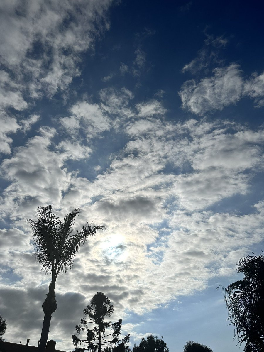 Morning 🌴 😎 #HB #Cali #StormHour