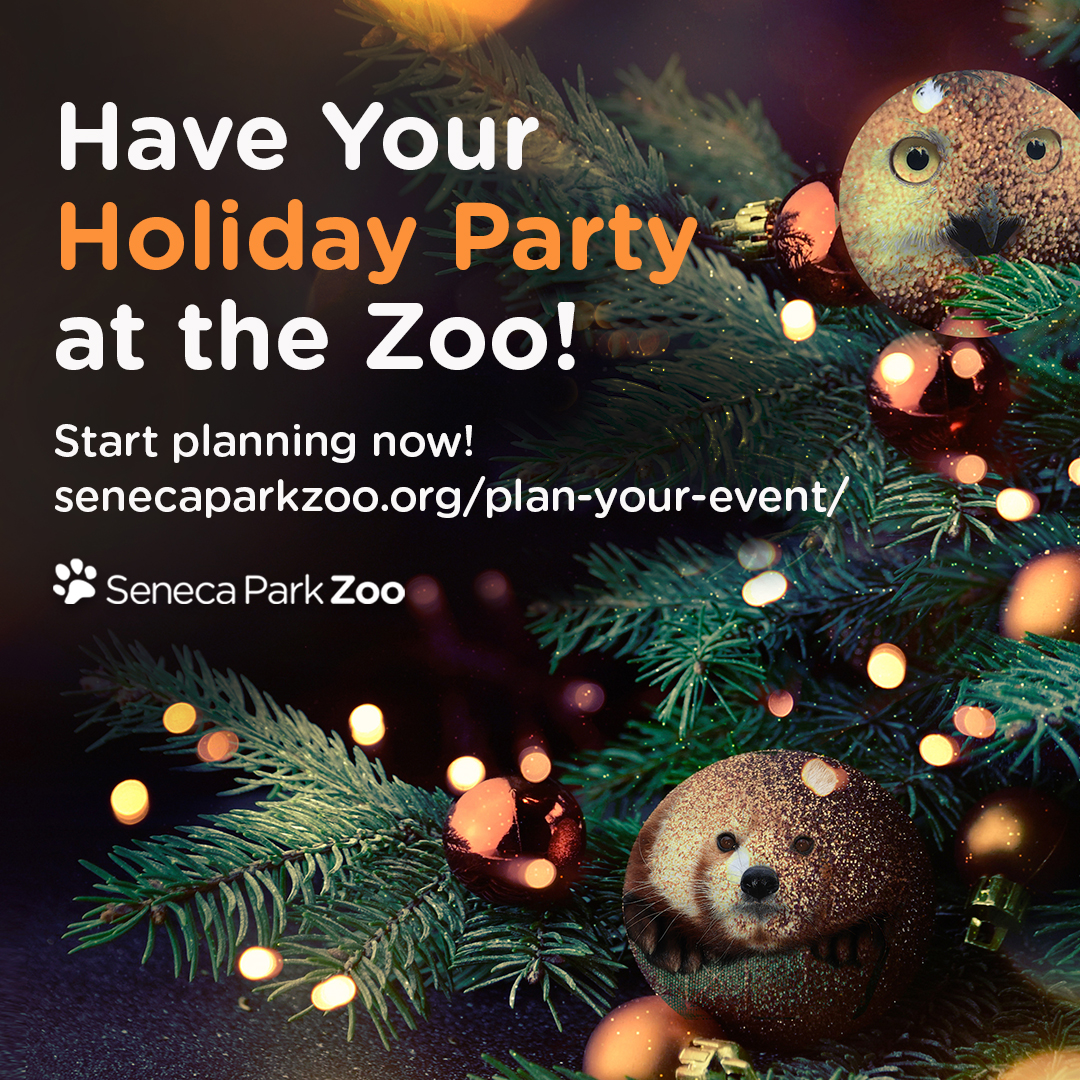 The holidays are approaching, plan your corporate party with us! 🥳 We have unique venues for nearly any occasion and group size, all in the natural surroundings of the Zoo. Learn more & book today! 🙌 senecaparkzoo.org/catered-celebr…